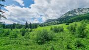 Struwin Abbildung 25
