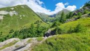 Edelweißwiese/Äußere Steiner Alm Abbildung 16