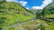 Edelweißwiese/Äußere Steiner Alm Abbildung 18