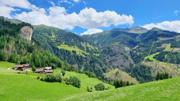 Edelweißwiese/Äußere Steiner Alm Abbildung 2