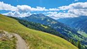 Edelweißwiese/Äußere Steiner Alm Abbildung 22