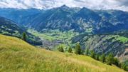 Edelweißwiese/Äußere Steiner Alm Abbildung 23