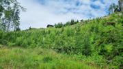 Edelweißwiese/Äußere Steiner Alm Abbildung 4