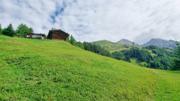 Edelweißwiese/Äußere Steiner Alm Abbildung 5