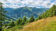 Edelweißwiese/Äußere Steiner Alm Abbildung 6