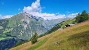 Edelweißwiese/Äußere Steiner Alm Abbildung 7