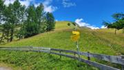 Edelweißwiese/Äußere Steiner Alm Abbildung 8