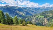 Edelweißwiese/Äußere Steiner Alm Abbildung 10