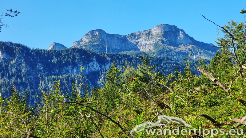 Hochplettspitze Abbildung 11