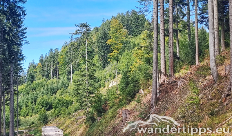 Hochplettspitze Abbildung 17