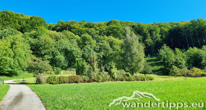 Hochplettspitze Abbildung 8