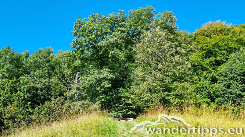 Hochplettspitze Abbildung 9