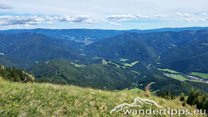 Windberg von Westen/Knopperwiese Abbildung 30