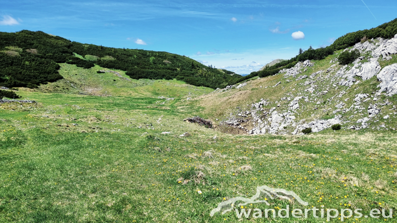 Windberg von Westen/Knopperwiese Abbildung 8